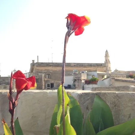 לינה וארוחת בוקר Le Giravolte